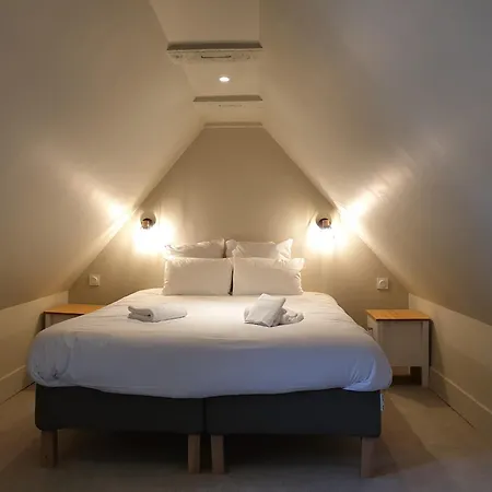 Au Loup Historic Aparthotel *