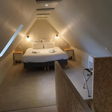 Au Loup Historic Aparthotel *