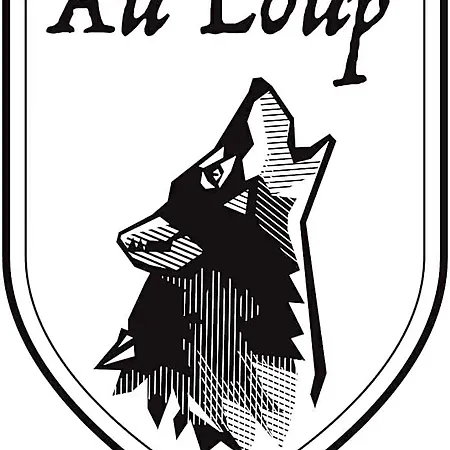 Au Loup Historic Appart hôtel 4*