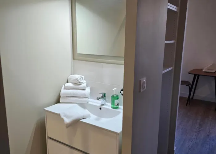 Aparthotel Au Loup Historic